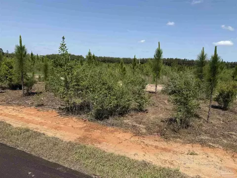 lot57 S Timber Ln, Jay, FL 32565 photo 16