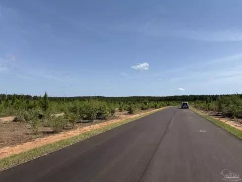 lot57 S Timber Ln, Jay, FL 32565 photo 19