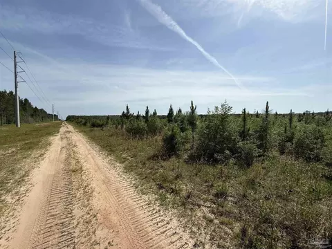 lot57 S Timber Ln, Jay, FL 32565 photo 25