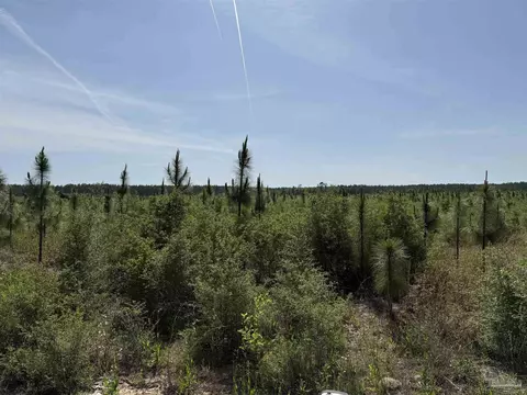 lot57 S Timber Ln, Jay, FL 32565 photo 29