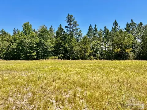 lot48 Mineral Springs Rd, Jay, FL 32565