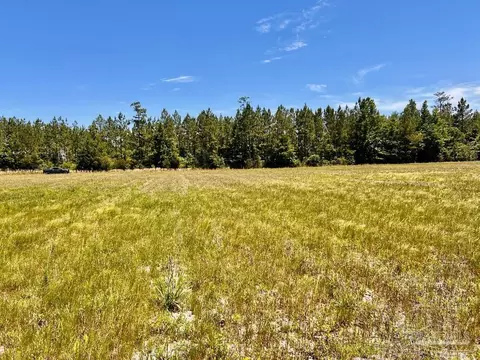 lot50 Mineral Springs Rd, Jay, FL 32565
