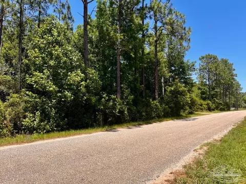 lot51 Mineral Springs Rd, Jay, FL 32565