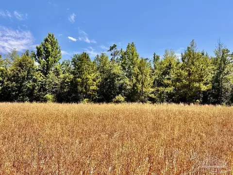 lot56 Mineral Springs Rd, Jay, FL 32565