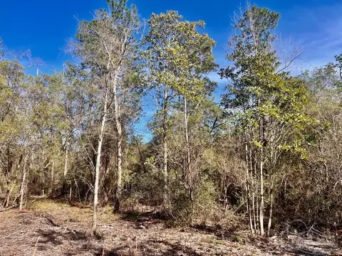 2035 Glacier Dr, Pace, FL 32571 photo 14