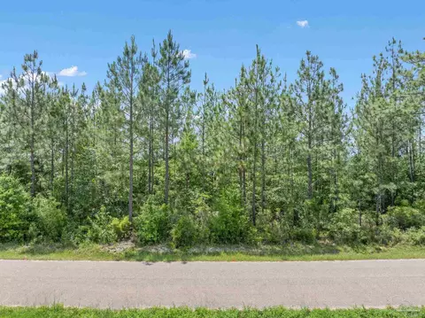 lot52 Mineral Springs Rd, Jay, FL 32565