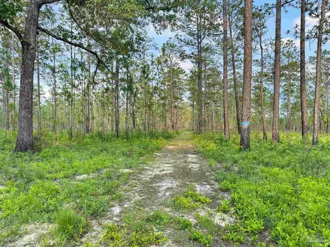 Other - 1150 Fleming Bridge Rd, Milton, FL 32570 photo 1 of 14