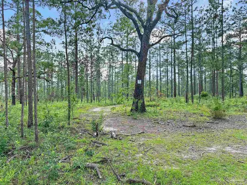 Other - 1150 Fleming Bridge Rd, Milton, FL 32570 photo 9 of 14