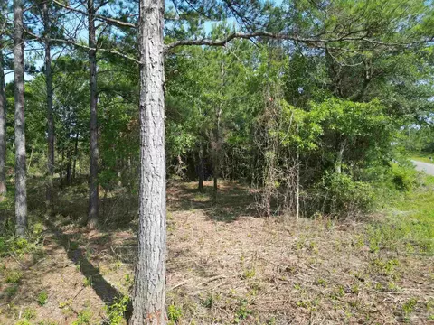 7724 Tidwell Rd, Pace, FL 32571 photo 13