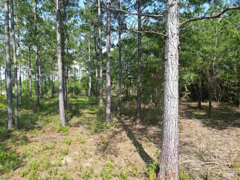 7724 Tidwell Rd, Pace, FL 32571 photo 12
