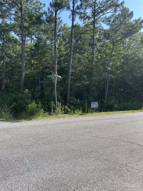 0001 Dickerson City Rd, Bagdad, FL 32583