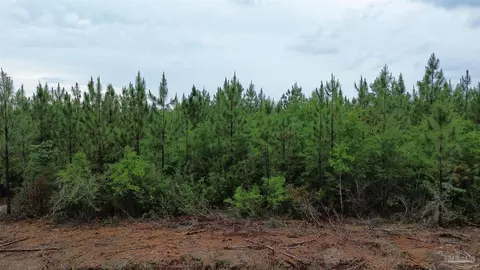 lot8 Pineview Church Rd, Jay, FL 32565