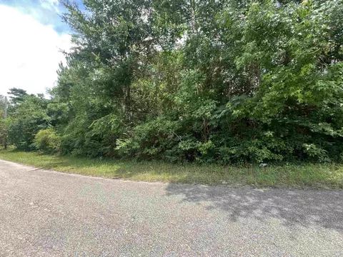 lot1 Pine Meadows Loop Rd, Pace, FL 32571 photo 3
