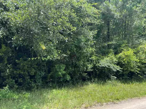 lot1 Pine Meadows Loop Rd, Pace, FL 32571 photo 2
