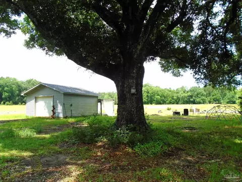 Exterior - 7067 Pine Blossom Rd, Milton, FL 32570 photo 8 of 11