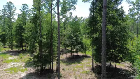 lot15 Pineview Church Rd, Jay, FL 32565