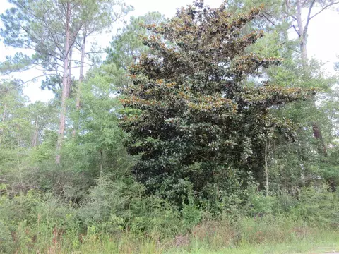 Summer St, Milton, FL 32583 photo 8