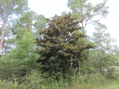 Summer St, Milton, FL 32583 photo 4