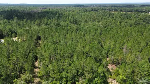 lot21 Sid Hayes Rd, Jay, FL 32565 photo 3