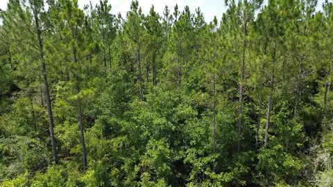lot21 Sid Hayes Rd, Jay, FL 32565 photo 2