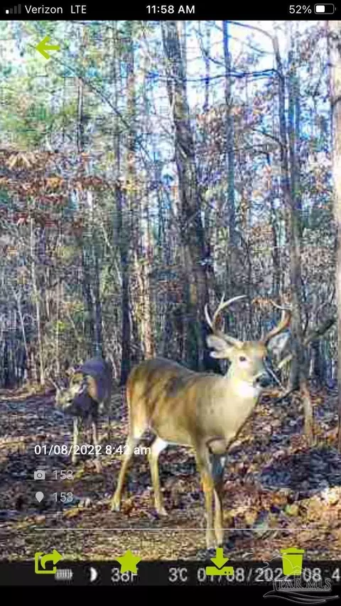 000 Apple Grove Rd, Vredenburgh, AL 36481