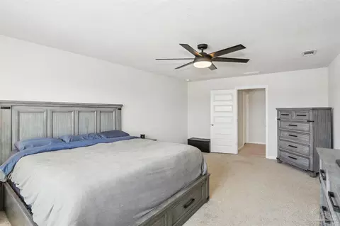 4363 White Cedar Ct, Pace, FL 32571 photo 37