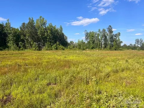 lot16 C Hwy 29, Molino, FL 32577