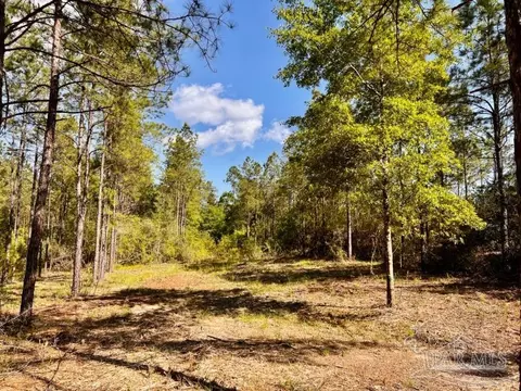 lot53 S Timber Ln, Jay, FL 32565 photo 18