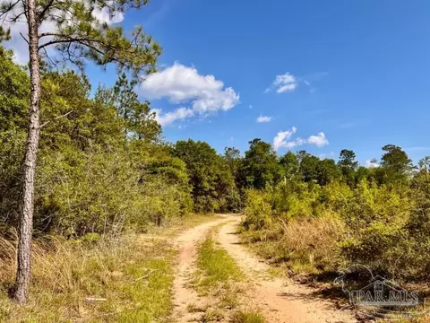 lot53 S Timber Ln, Jay, FL 32565 photo 19