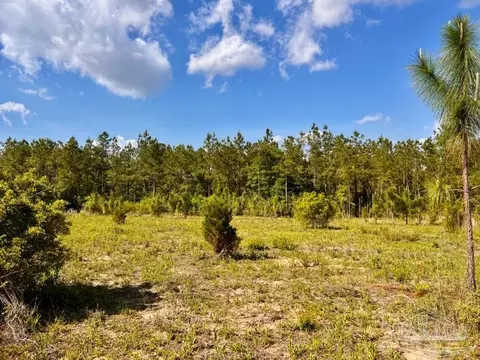 lot53 S Timber Ln, Jay, FL 32565 photo 3