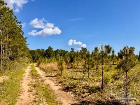 lot53 S Timber Ln, Jay, FL 32565 photo 15