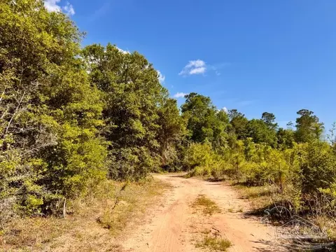 lot53 S Timber Ln, Jay, FL 32565 photo 20