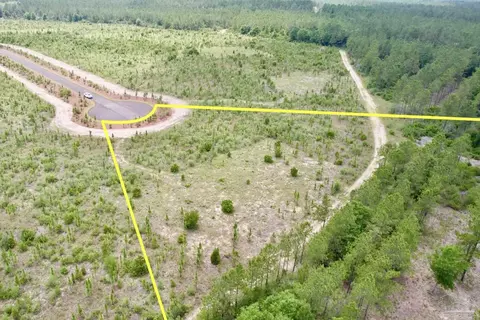 lot53 S Timber Ln, Jay, FL 32565 photo 6