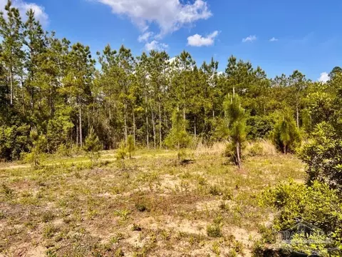 lot53 S Timber Ln, Jay, FL 32565 photo 13