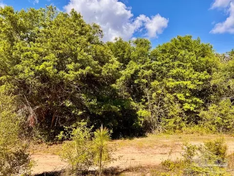 lot53 S Timber Ln, Jay, FL 32565 photo 21