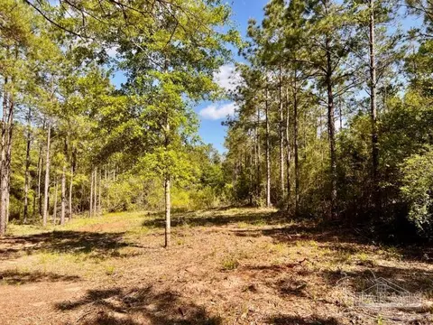 lot53 S Timber Ln, Jay, FL 32565 photo 16