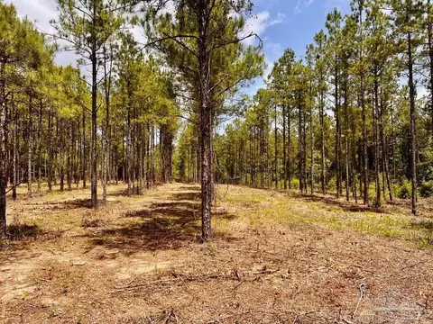 lot95 Turning Leaf Rd, Jay, FL 32565 photo 13