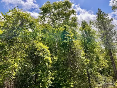 lot95 Turning Leaf Rd, Jay, FL 32565 photo 16
