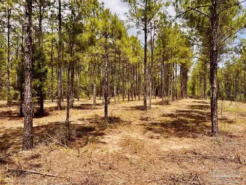 lot95 Turning Leaf Rd, Jay, FL 32565 photo 12