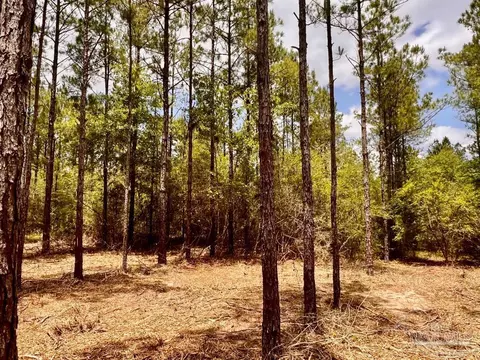 lot95 Turning Leaf Rd, Jay, FL 32565 photo 22