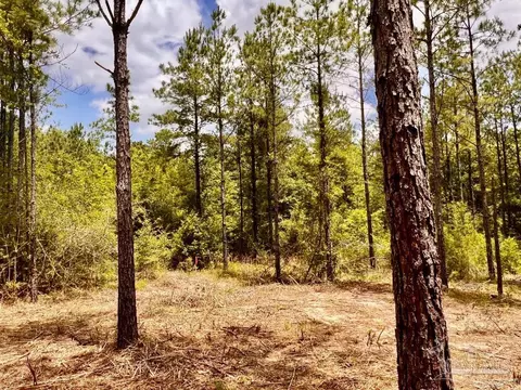 lot95 Turning Leaf Rd, Jay, FL 32565 photo 24