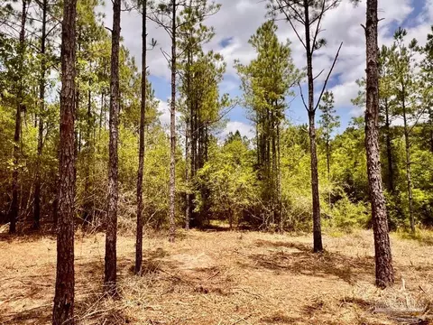 lot95 Turning Leaf Rd, Jay, FL 32565 photo 23