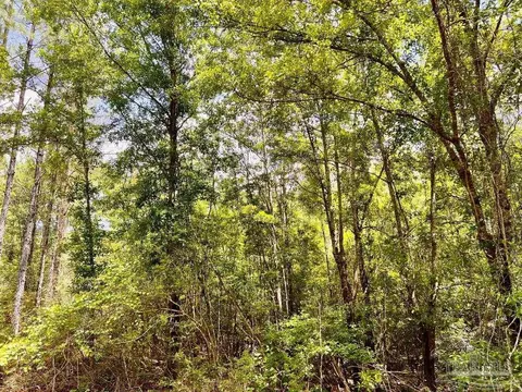 lot95 Turning Leaf Rd, Jay, FL 32565 photo 17