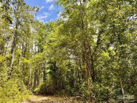 lot95 Turning Leaf Rd, Jay, FL 32565 photo 15