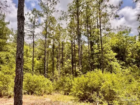 lot95 Turning Leaf Rd, Jay, FL 32565 photo 25