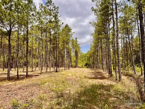 lot95 Turning Leaf Rd, Jay, FL 32565 photo 14