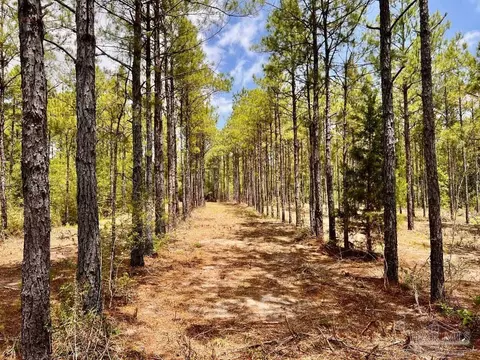 lot95 Turning Leaf Rd, Jay, FL 32565 photo 11