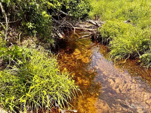 lot95 Turning Leaf Rd, Jay, FL 32565 photo 18