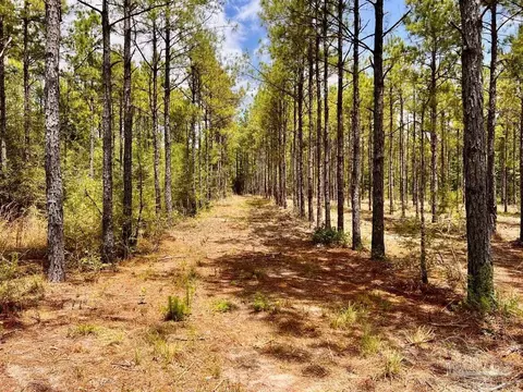 lot95 Turning Leaf Rd, Jay, FL 32565 photo 10