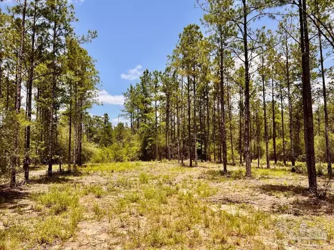 lot96 Turning Leaf Rd, Jay, FL 32565 photo 24